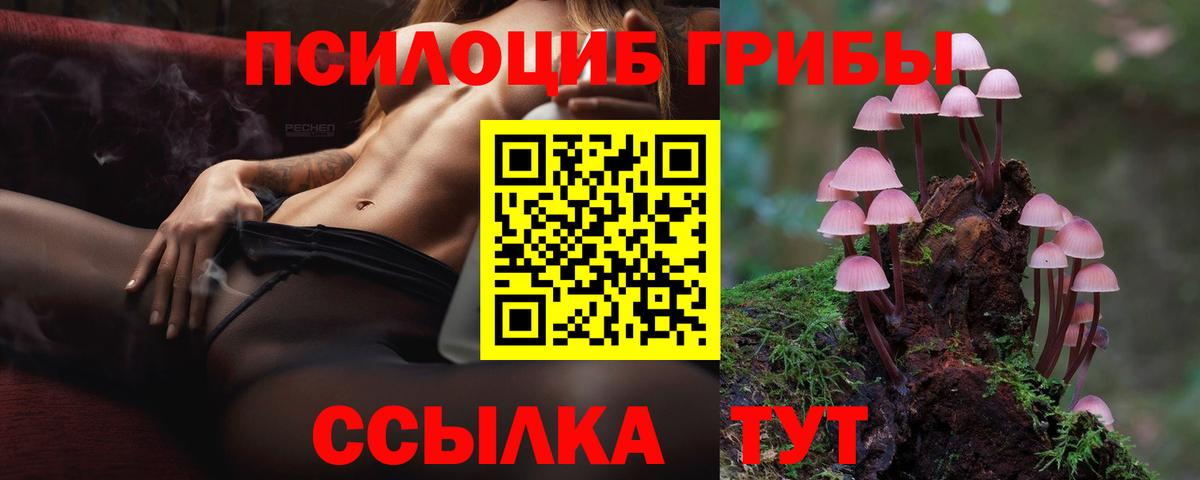 Галлюциногенные грибы ЛСД Кольчугино