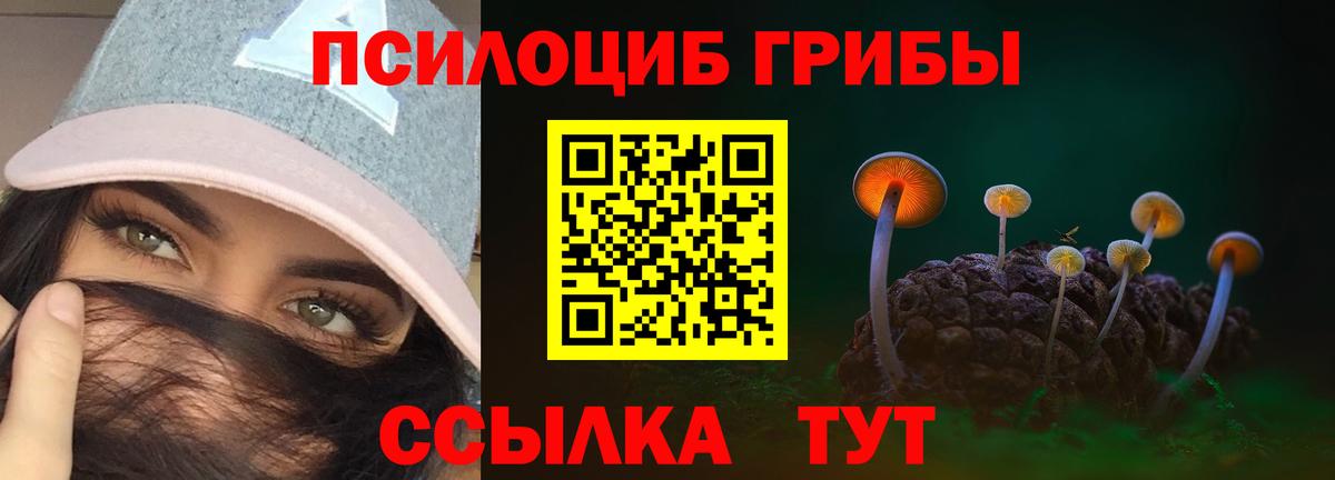 Галлюциногенные грибы Magic Shrooms  Вход с VPN  Кольчугино 